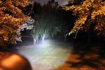Zx-1 Professional Led Flashlight Kit
