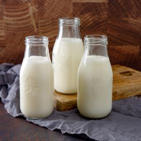 Whey Milk Bucket (Option: 120 Serving)